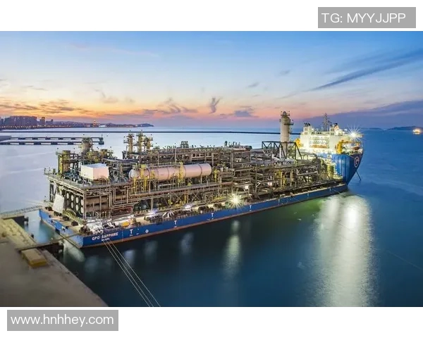 亚马尔地区的能源战略与全球市场的互动分析