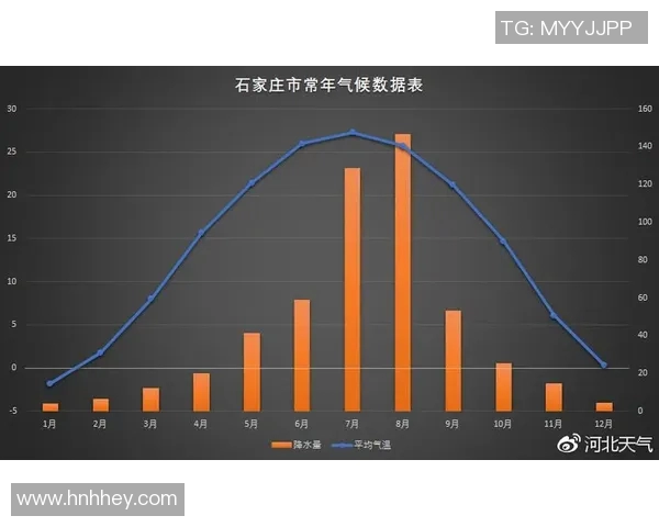 大连与石家庄比赛全场数据分析及精彩瞬间回顾
