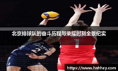 北京排球队的奋斗历程与荣耀时刻全景纪实